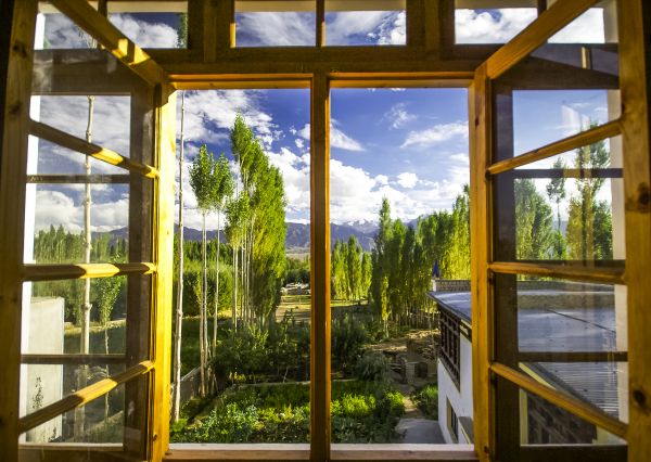 Cost of Wood Window Replacement in Seminole