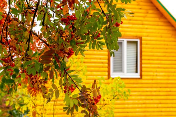 Cost of Garden Window Replacement in Seminole